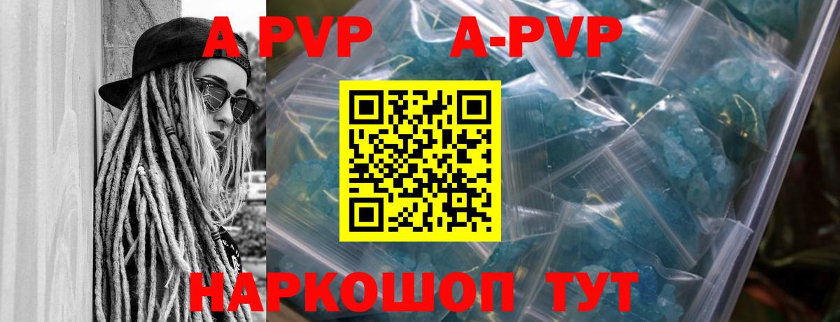 Alfa_PVP СК КРИС Луга