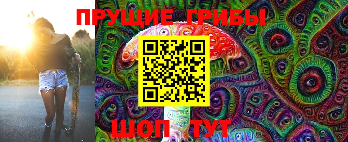 Галлюциногенные грибы Cubensis Луга