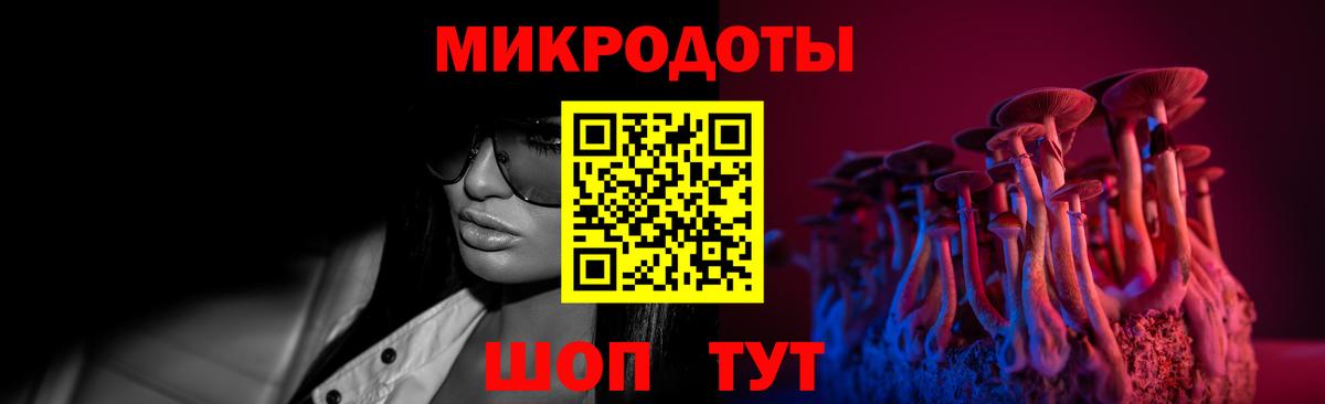 Луга  Псилоцибиновые грибы Cubensis  Вход с VPN 